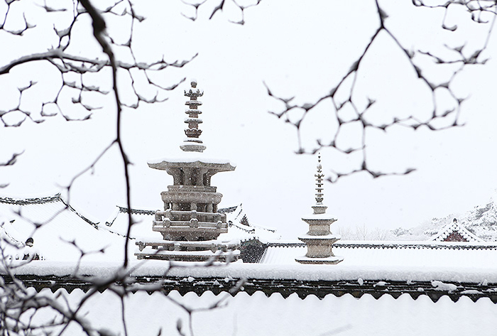 Snow covered stone pagoda of Korea