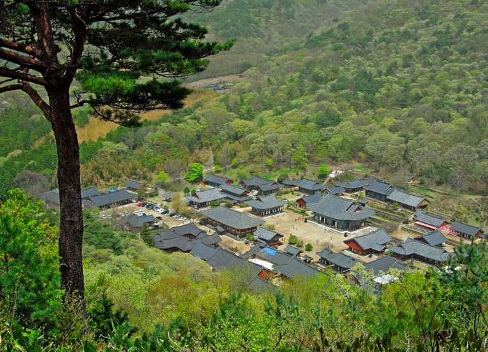 korean buddhist temple Image