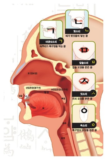 Hangeul Korean alphabet invention from human vocal organ