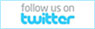 antiquealive twitter link
