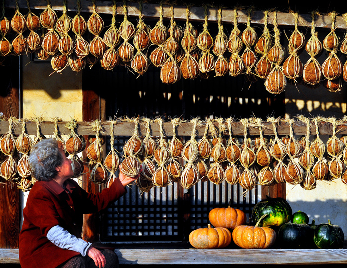 meju blocks of fermented soybean