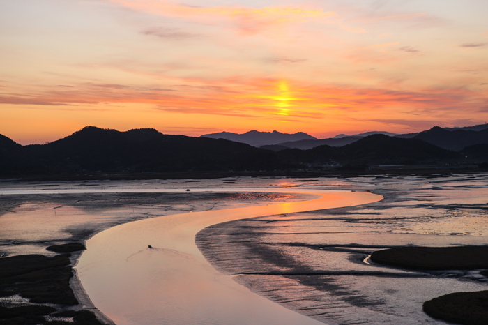 Korean coastal wetland Suncheon bay