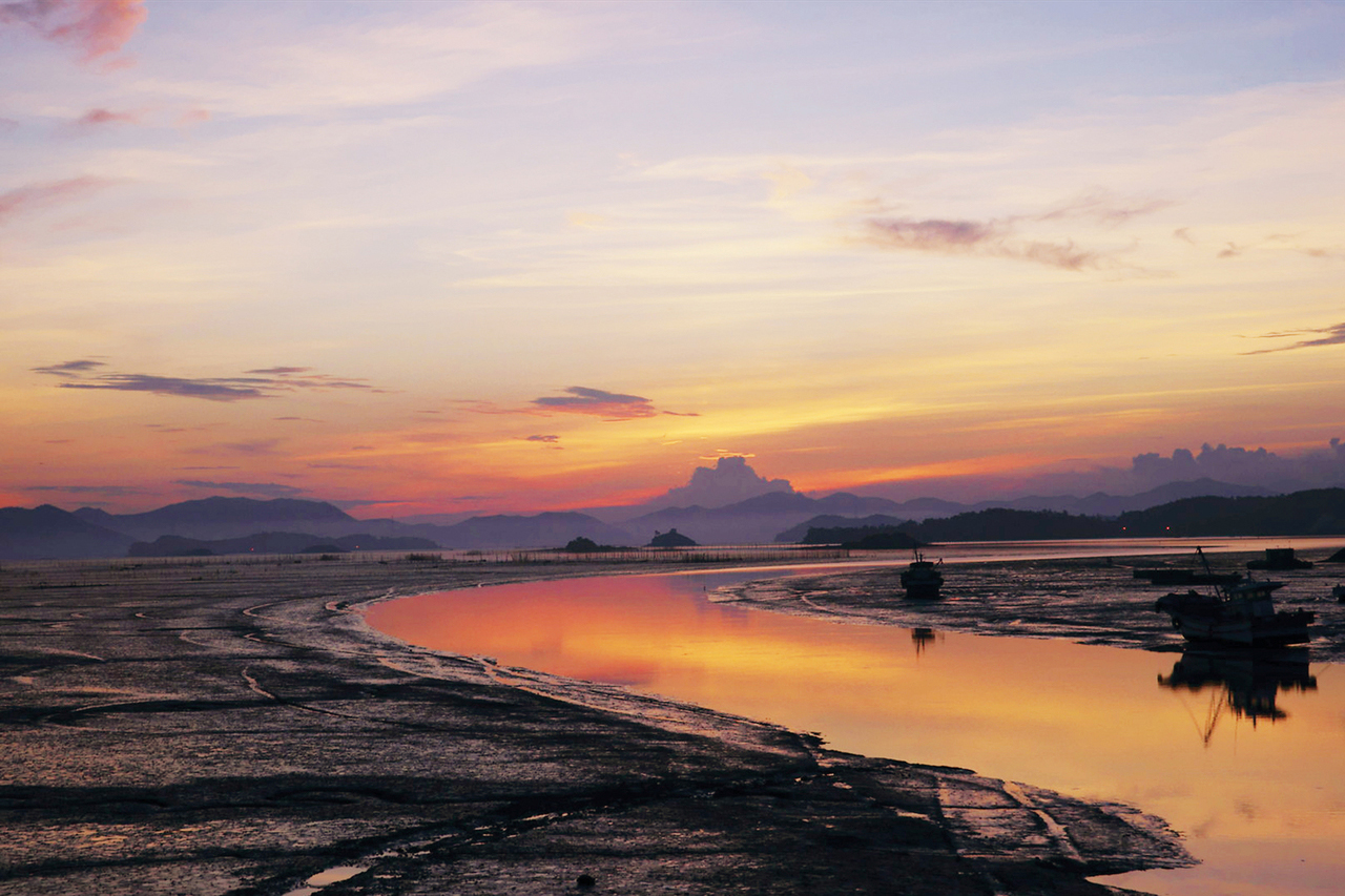 Korea's western coastline mudflat heaven