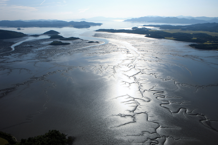 Korean western coast mudflat during low tide