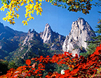 Exploration of Eastern Korea