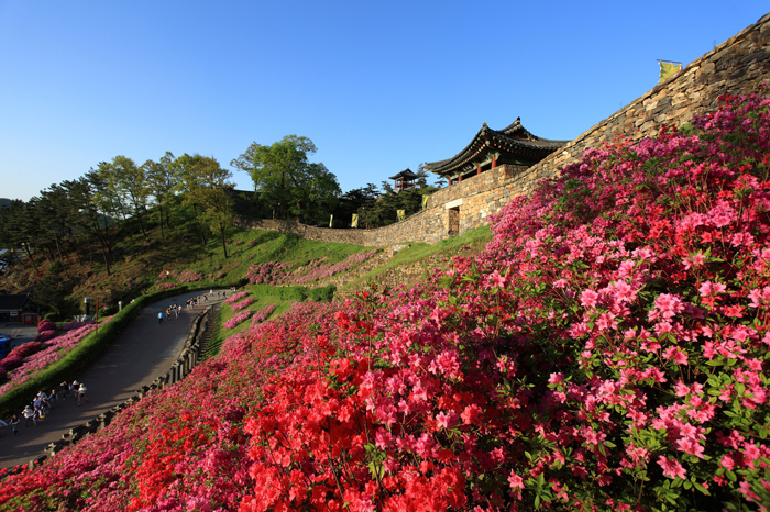 Gongju mountain fortress with flowers