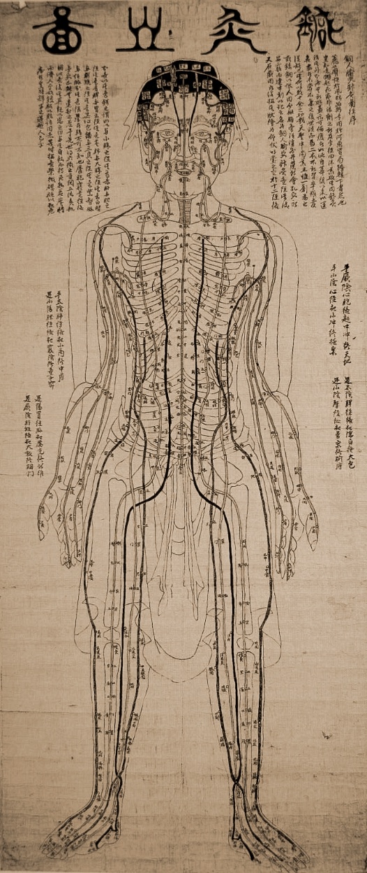 Diagram-acupuncture-points-human-body.jp