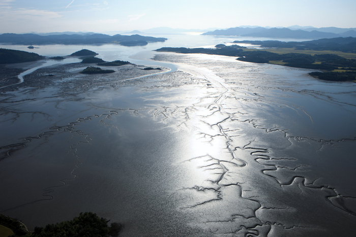 Korean Mudflats