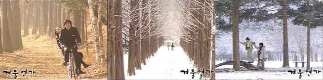 Nami Island Winter snow