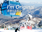 Yongpyong Ski Resort with Ski Lesson