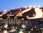 Alpensia Ski Resort with Ski Lesson